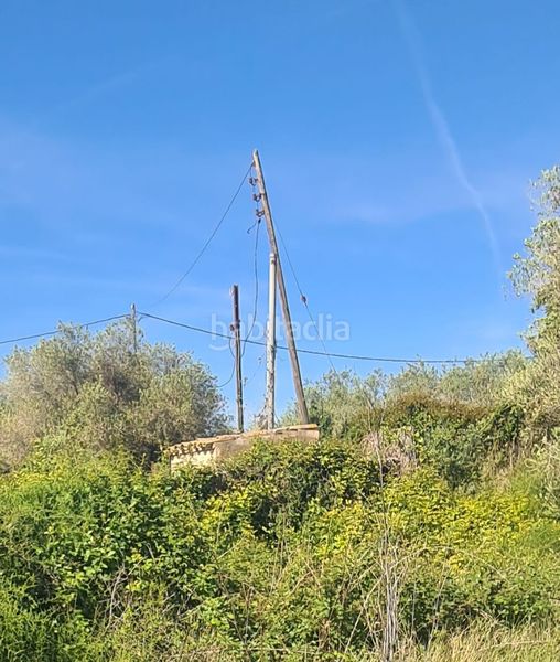 Foto a8803009-7ff9-41cc-86b0-b913bda1c487. Finca rústica a Riudoms