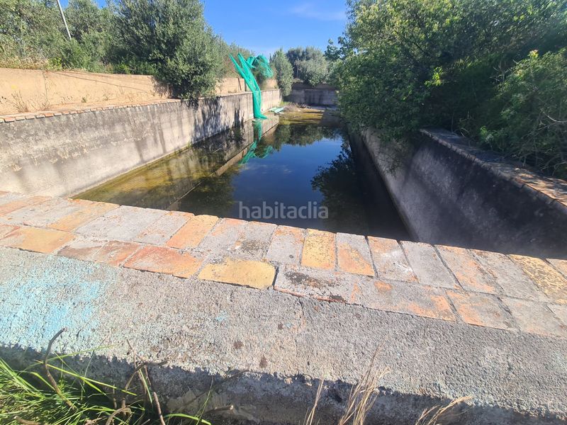 Foto cb570ed6-edcc-4652-93c2-3d99f3fcc91d. Finca rústica a Riudoms