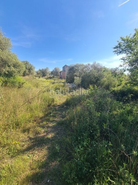 Foto cd0b356c-3124-4b20-adc4-36d5c5a70d97. Finca rústica a Riudoms