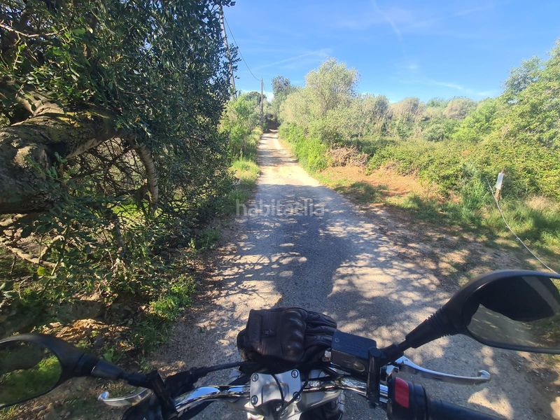 Foto ecfc85d2-a1a0-4563-b3ff-4f1af7088ea6. Finca rústica a Riudoms