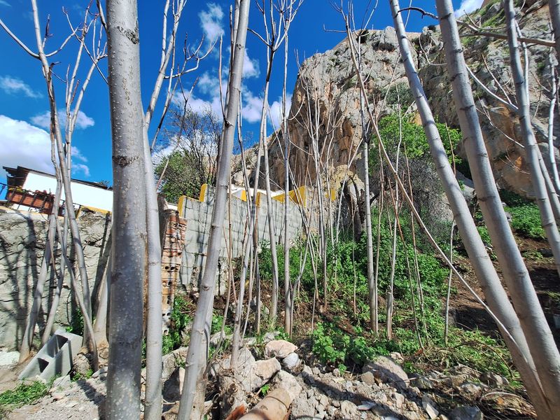 Foto 90f53cbd-7674-47df-b98d-13d55e94fe8c. Casa a Íllora