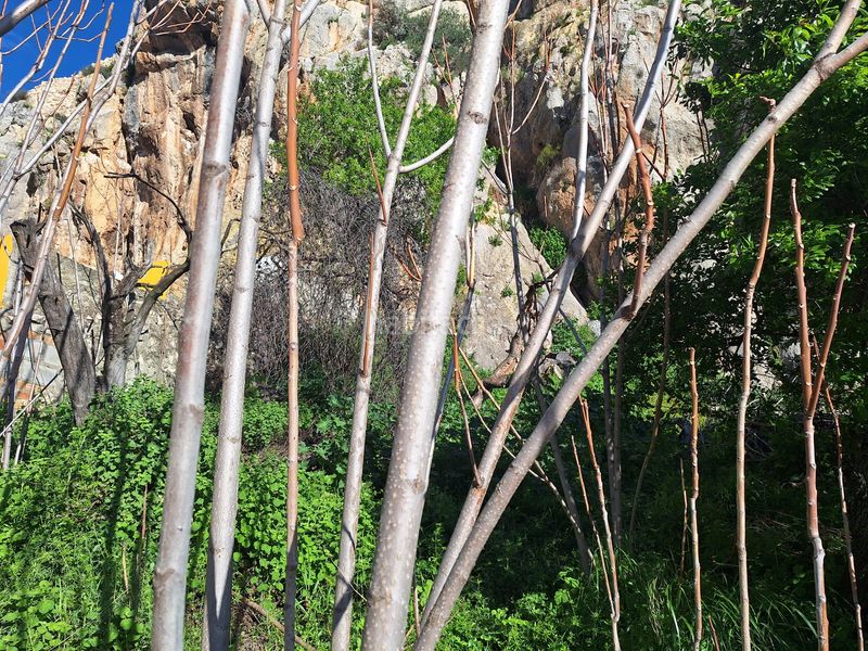 Foto de7859b4-681a-4484-b767-0cfcecedd043. Casa a Íllora