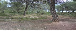 Terreny residencial a Albalat dels Tarongers
