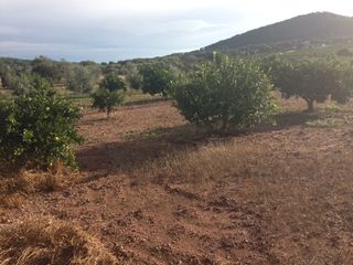Terreny residencial a Estivella