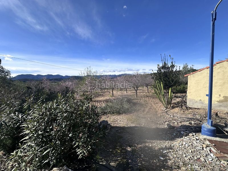 Foto ed2ab353-74cf-4943-804b-8f7918b7fa97. Casa a Doctor Palos - Alto Palancia Sagunt