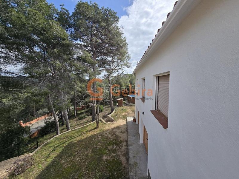 Foto 273ebd6f-a470-4e63-b982-910528dc2adc. Casa  independiente con gran parcela en los jardines en Cunit
