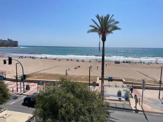 Piso en Playa Muchavista. Apartamento en primera línea de playa en muchavista, alicante