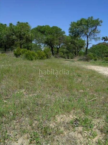 Foto d7149867-dcf4-4d55-81fe-6cb0bf8e1647. Casa a Pueblo Guardamar del Segura