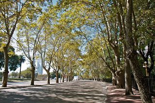 Pis a Avinguda d'Amèrica