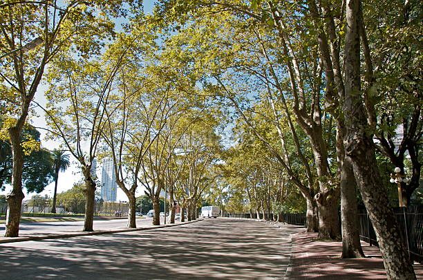 Foto e26a09df-5564-4091-8452-6ab721c7dbb8. Àtic amb calefacció aparcament a Centre Mataró
