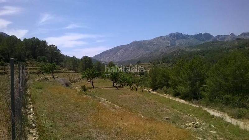 Foto 0e33170a-d30c-4f63-a47f-cc5273a66eaf. Finca rústica a Benissa pueblo Benissa