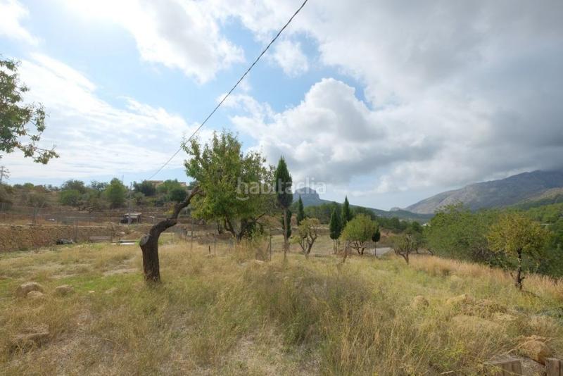 Foto 242d7128-ad9e-4513-aa07-10300d57ea09. Finca rústica a Benissa pueblo Benissa