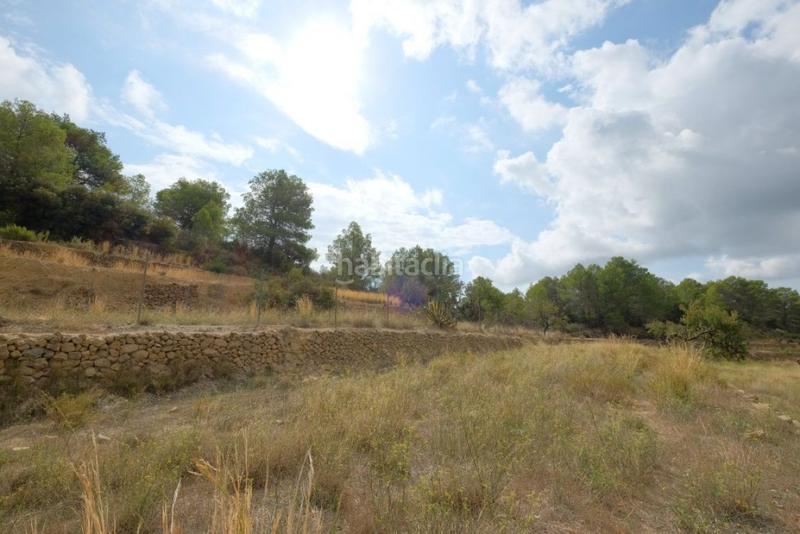 Foto 2a9d8dca-244a-4a10-88d6-76ad6da08481. Finca rústica a Benissa pueblo Benissa