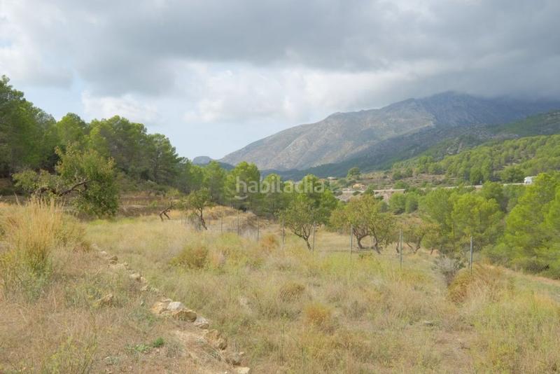 Foto 58c5c737-5b97-4745-bf30-59ce0387f39b. Finca rústica a Benissa pueblo Benissa