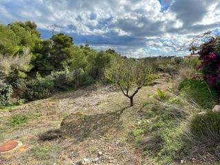 Terreny residencial a La Fustera