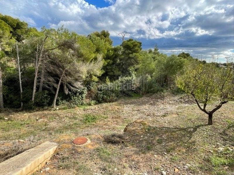 Foto e1944e14-a49d-4263-b2f1-1ab77818f501. Residential plot in La Fustera Benissa