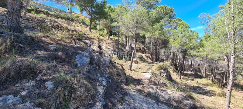 Foto 8cc6267c-1504-4158-b34c-3fed7334d100. Terrain résidentiel dans Oltamar - Cucarres Calp