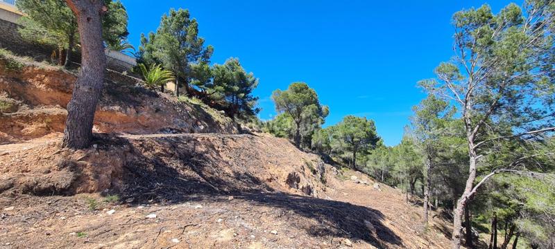 Foto 9c7cfefc-8f5d-4956-a36e-e90d150857c6. Terrain résidentiel dans Oltamar - Cucarres Calp