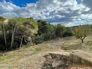 Terreny residencial a La Fustera