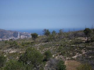 Rural plot in La Nucia Pueblo