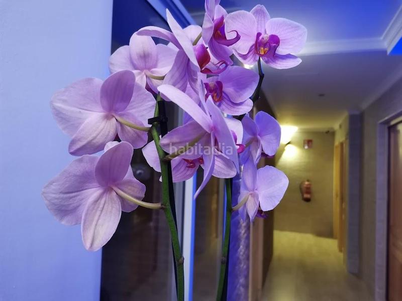 Foto ee9620df-6995-4bf6-a554-3c892520980d. Edificio en Gargasindi - Garduix - Colina del Sol Calp