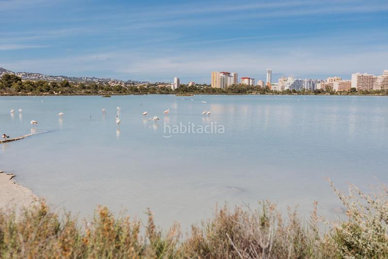 Foto 54cff7f4-fbd3-459c-ab56-a3c32f173bcd. Estudio en Playa Arenal - Bol Calp