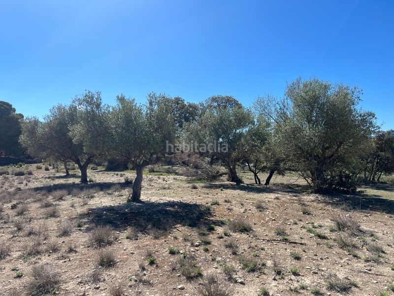Foto ce72aba5-aaeb-406f-b5bc-d57729ff0bd9. Masia a Castalla