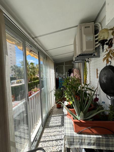 Foto dedf5e55-bd2b-404e-aff7-5d27869b9766. Piccolo appartamento con riscaldamento in Zona Levante - Playa Fossa Calp