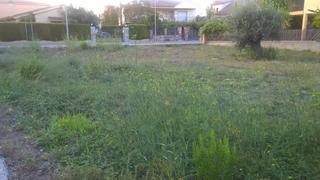 Finca rústica a Sant Martí Sarroca. Próximo al ayuntamiento.