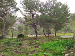 Landgut in Canyelles. Urbanización vora sitges