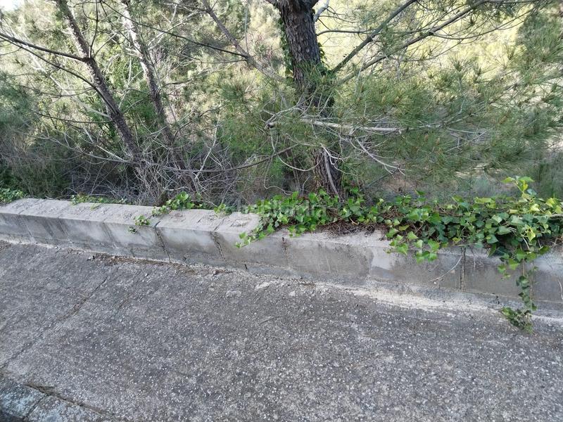 Foto 8cfe5382-7819-4059-b7af-7df19fda1c9f. Finca rústica a Piera