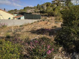 Finca rústica a Olèrdola. Solar urbanizable esquinero de 685 m2 en olérdola