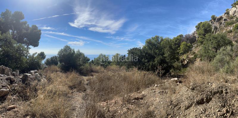 Foto 675e7acf-4689-4e03-b7f0-4ce8d4ce4705. Finca rústica a Pinares de San Antón Málaga