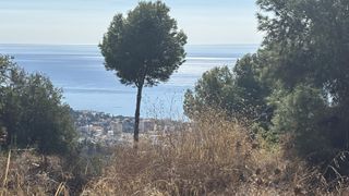 Finca rústica en Pinares de San Antón. Ubicado en urbanización san anton, con vistas al mar