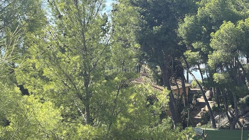 Foto ac643256-d045-49f0-bcaf-710f6757eff5. Finca rústica a Pinares de San Antón Málaga