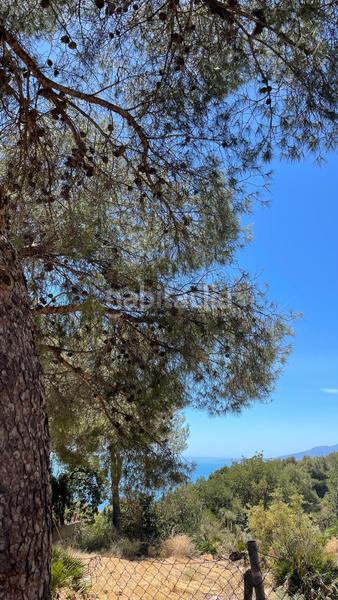 Foto b2f75b60-c9f3-459d-8605-624170ae0f5b. Finca rústica a Pinares de San Antón Málaga