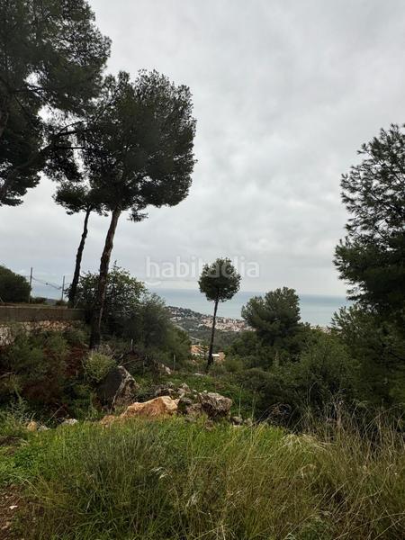 Foto d0831372-b168-46dd-95b1-25ee3b5953b1. Finca rústica a Pinares de San Antón Málaga