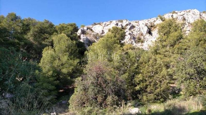 Foto d252ae01-8283-49c6-b540-a33204297814. Finca rústica a Pinares de San Antón Málaga