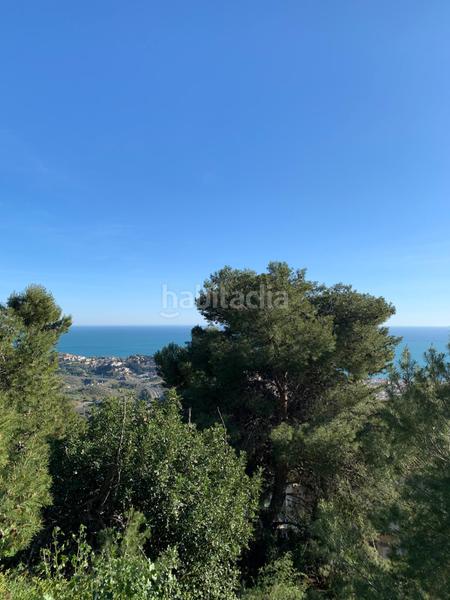 Foto e1581553-a2a0-439d-ace1-583722f31f56. Finca rústica a Pinares de San Antón Málaga