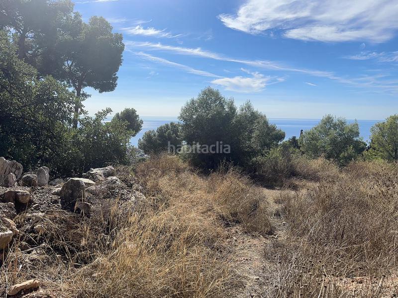 Foto f550f2f1-2071-4f7c-870a-a6973b18e735. Finca rústica a Pinares de San Antón Málaga