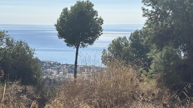 Foto fe38f4d5-9d95-4ed3-9aa6-65678b7de814. Finca rústica a Pinares de San Antón Málaga