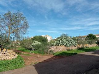 Rural plot in Ses Salines Poble. En una calle cerca de las afueras en ses salines