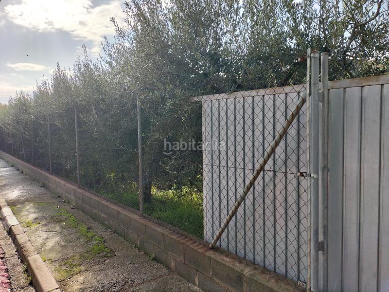 Foto 4d81c652-1bab-444f-a275-2f0e98bf402a. Finca rústica a Hostalets de Pierola (Els)