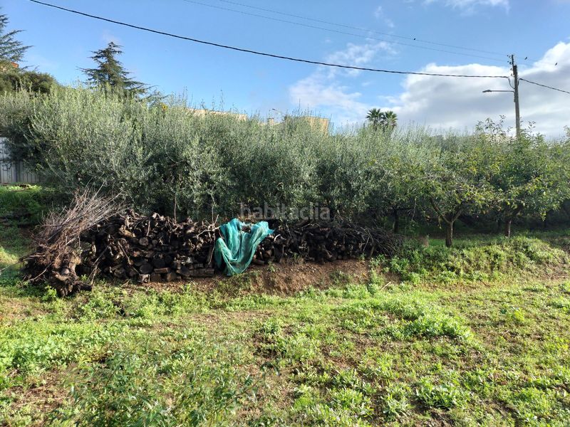 Foto d71f6d9b-1369-4b7c-98b4-fa48b60ce11c. Finca rústica a Hostalets de Pierola (Els)