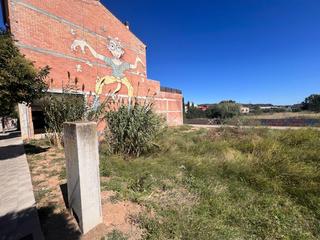 Finca rústica a Sant Pere de Riudebitlles. En el centro del pueblo