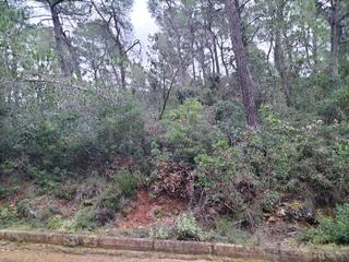 Finca rústica a Gelida. Urbanización martivell