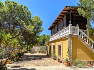 Masia a Andújar. Viña junto al curce de la carretera de la parrilla