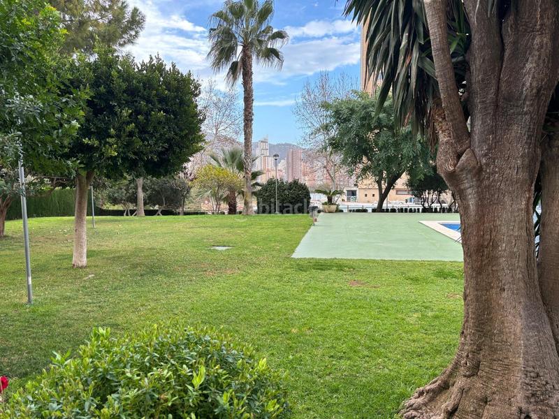 Foto 277b875d-d96c-4be1-aa50-d5367ed778c3. Appartement mit heizung parking pool in Levante Alto Benidorm