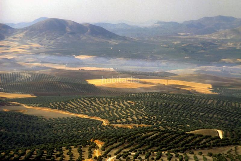 Foto 6bba8fb4-29e2-4a75-bf2d-c8abd6bf92f1. Finca rústica a Baeza