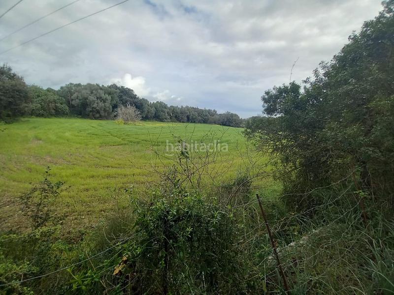 Foto 7a1563ca-fa2b-4427-8a55-a20494b2bc64. Finca rústica a Selva